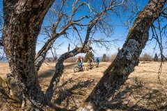 Supertrail Kreuzberg in der Rhön