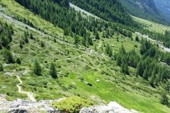lange Supertrails führen uns ins Tal