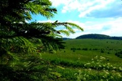 Ausblicke in der Rhön