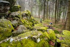 Basalt Formationen begleiten uns