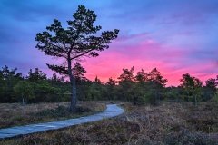 Abendstimmung auf der Hochrhön