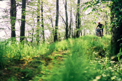 TOL_RHÖNTRAIL_MCB0279