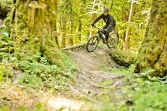viele verschiedene Trails auf Shuttle Tour