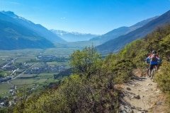 Trail with a View