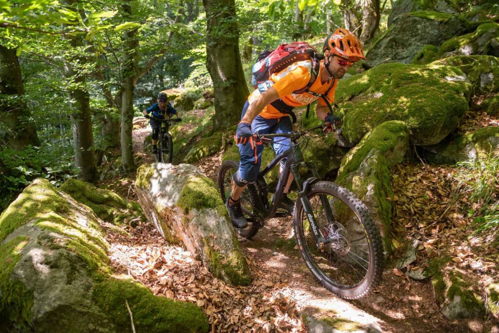 MTB Tour Supertrail Kreuzberg Technische Raffinesse: Eine Schlüsselstelle des Supertrail Kreuzberg, die ihn zum Favoriten für Enduro-Rider bei Rhöntrail macht.